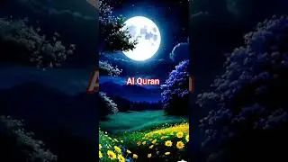 Quran ❤️ translation #love #Quran #Quranforever #motivation #islamic #shorts #viral