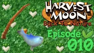 Harvest Moon!🌱 Back To Nature : Ep 10 