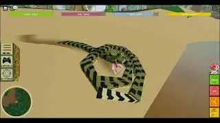 Anaconda! || Amazon Ascension || Roblox