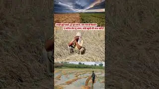SAD SATUTS TODAY FARMER SAD SATUTS #farmer #viral #trending #sadstatus #study #today_breaking_news