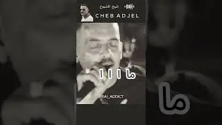 Ma Cheb Adjel ft Habibou 😎🔥 #rai  #raialgerien #music #alg&eacute;rie #duo #live #rais #oran  #rai