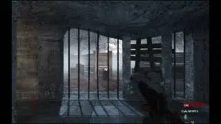Streamer has the SAME laugh from COD Zombies