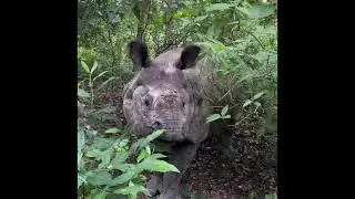 Meeting a boy in Kumroj Community Forrest. He is very humble.#rhino #trending #travelnepal #nature 