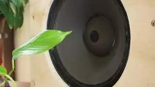 High efficiency driver: cone excursion at 95dB SPL. Deadmau5