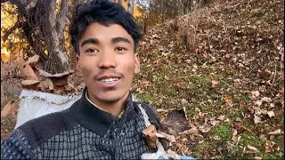 सौतार