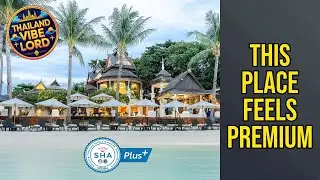 Dara Samui Beach Resort on Chaweng Beach - Adults Only - This Place Feels Premium | Koh Samui🛏️