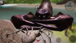 🕷 Ultimate Spider Simulator 2 Android Gameplay #2 Spider Sim Game