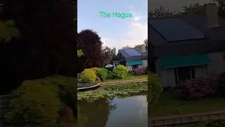 Nieuweweg. Poeldijk. Південна Голандія. 2.07.25.
