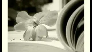 AnimArdor - Pentru ele