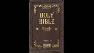 Summary of Leviticus chapters 14-15