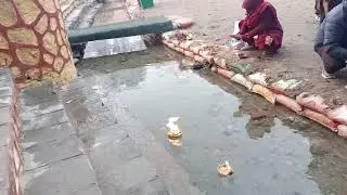 saali nadi