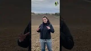 &Eacute;L&Eacute;MENTERRE #25 - D&eacute;veloppement racinaire c&eacute;r&eacute;ales