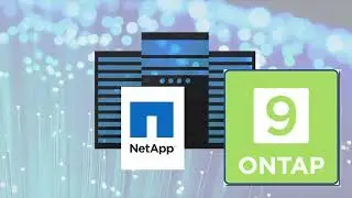 Netapp Ontap 9.9 Snapmirror для процедуры аварийного переключения и возврата SVM + устранение неполадок NFS