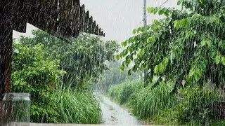 Super Heavy Rain 🌧️ | Natural Night Rain Sound That Helps You Sleep Without Effort