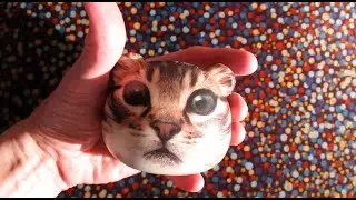 Troy Von Balthazar - Nurse 13 (official video)