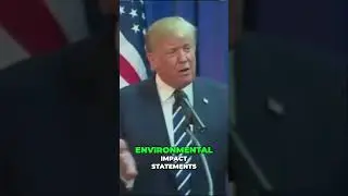 The Wall Debate: Environmental Surprises and Political Struggles