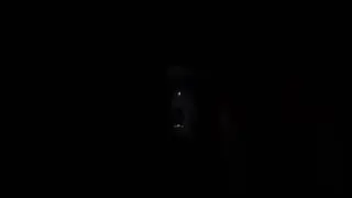 fnaf movie foxy attacking