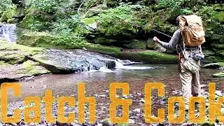 Wilderness Catch and Cook Native Brook Trout