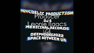 DJ S ($) aka DJPSY - SPACE BETWEEN US (ORIGINAL AUDIO) @minimalhouse2022