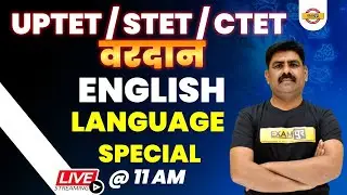 UPTET/STET/CTET English Mcq Classes | UPTET English Special quiz | UPTET English By Mahendra Sir