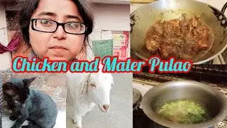 Zabardast Chicken and Mater pulao Recipe yummy and Testy 🤗🤗 #viralvideos 