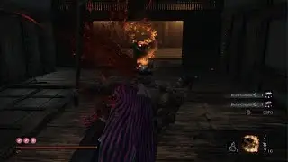 Sekiro: Best Divine Confetti and XP Farm!! Mid Game