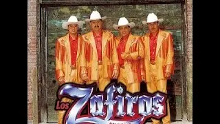 La Nueva Bala - Los Zafiros Del Norte (La Fiebre Michoacana)