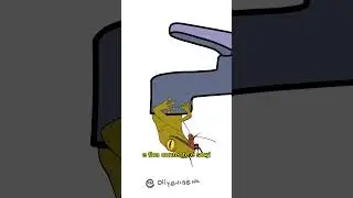 Lagartixa tropical #anima&ccedil;&atilde;o #shorts #lagartixa #comedy #fyp