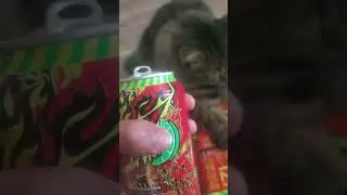 Flamin Hot Mountain Dew Soda Review