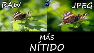 M&aacute;xima nitidez y Detalle en tus fotos con Camera Raw y Photoshop