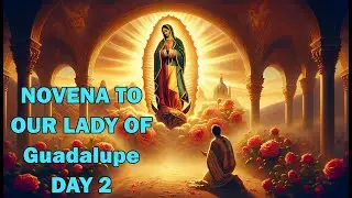 Novena to Our Lady of Guadalupe &ndash; Day 2 | Mary as the Mother of Compassion