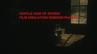 'Gentle Hum of Spring' Film Emulation Demonstration