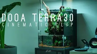 DOOA Terra 30 Cinematic