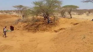 Dhabad