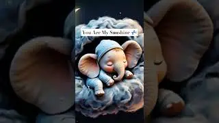 you Are My Sunshine 💤 Lullaby | Sleep Music | Relaxing Music |Meditation Music  #Shorts
