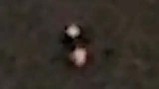 January 19th 2026 0556 UFO/UAP double night orb looked like about to split in half