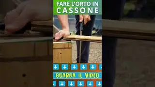 ORTO RIALZATO in CASSONI : COME COSTRUIRLO da ZERO - TUTORIAL Fai da TE X IL TUO ORTO in CASSONE