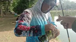 Fishing in the south coast sea