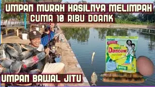 RACIKAN UMPAN BAWAL PALING JITU || MEDIA SOSIS || LANGSUNG TES