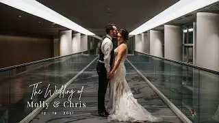 Molly & Chris Cinematic Wedding Video at Renaissance Schaumburg Convention Center