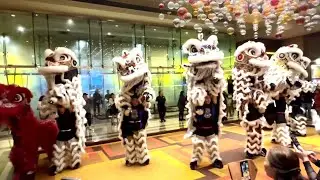 Houston Lion Kings Celestial Dragon dance @ Golden Nugget Casino