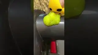 Dyson Sucks Says the Vomiting Egg Yoke #shorts #dyson