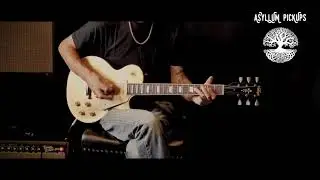 Asyllum Pickups P90 Grainy Mate crunch