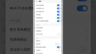 How to change Amap language to English