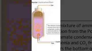 Urea Reactor #fertilizeracademy  #ureaknowhow