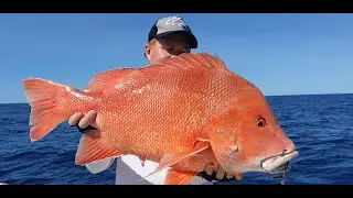Want To See What Jigs Really Catch Big Reef Fish? New DIAMOND SCALE Synotek Jig Secrets Revealed