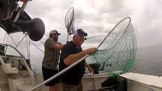 Heavy Lifting Lake Ontario Kings