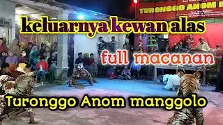 keluarnya kewan alas ful macanan Turonggo Anom manggolo live ds Purworejo Wates kab Blitar