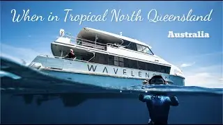 When in Tropical North Queensland, Australia...