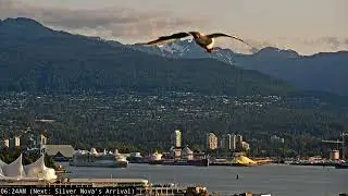 LIVE: Silver Nova&rsquo;s Spectacular Arrival | Clear Skies, Calm Seas & Vancouver Harbour | Silverseas